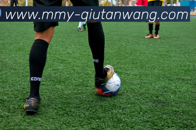 球探平台生态图